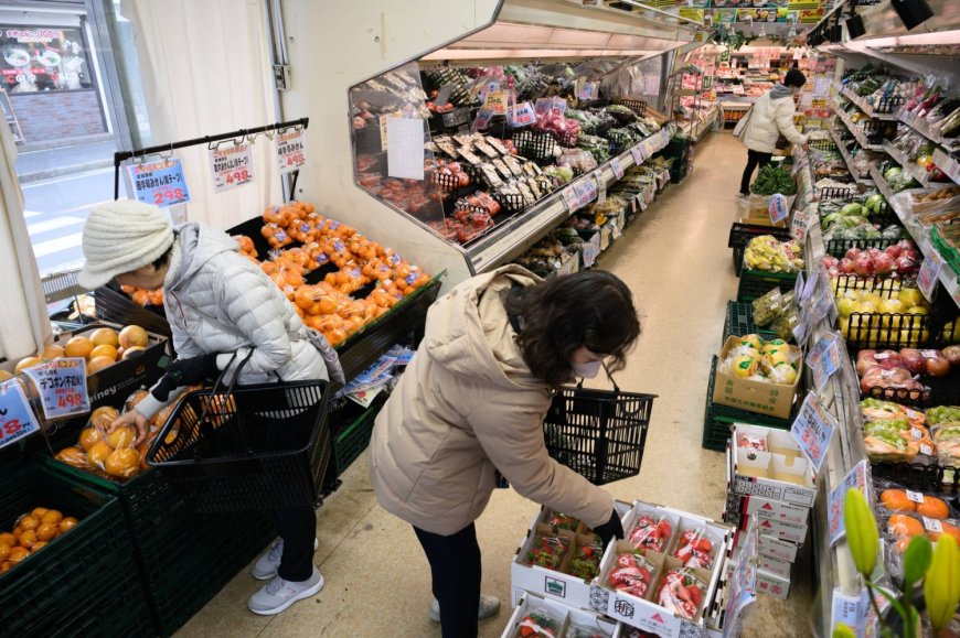 Japan’s inflation slows on subsidy effect ahead of BOJ decision