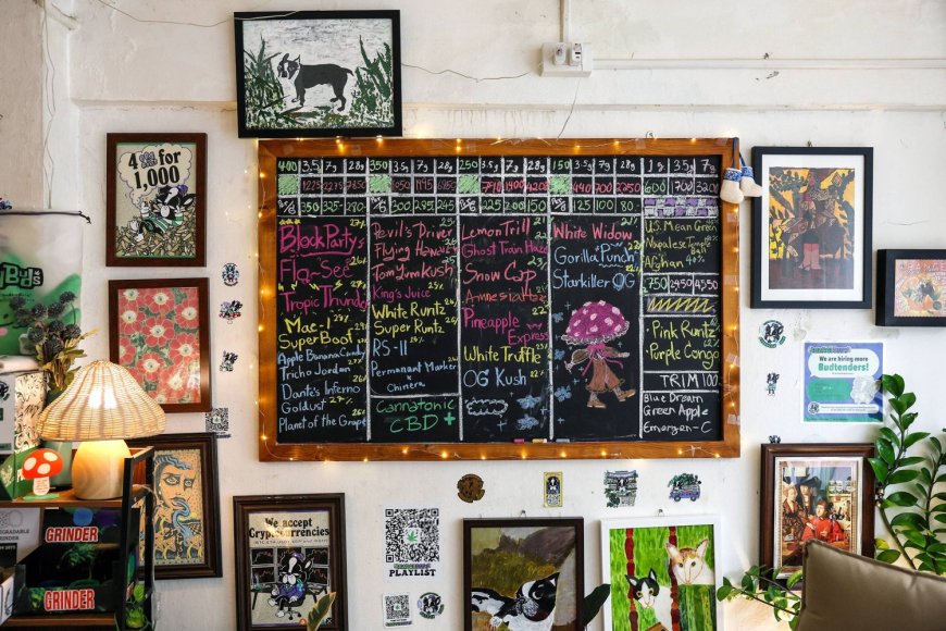 Weed backlash grows in Thailand as kids turn to cannabis