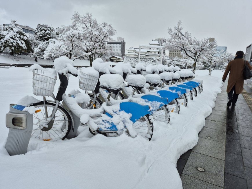 Heavy snow continues along Sea of Japan coast, disrupts transportation