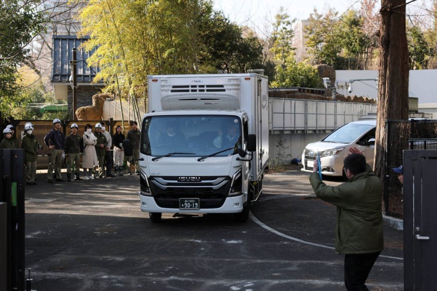 Last two pandas in Japan leave for China