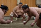 Tales of perseverance abound in sumo’s hidden corners