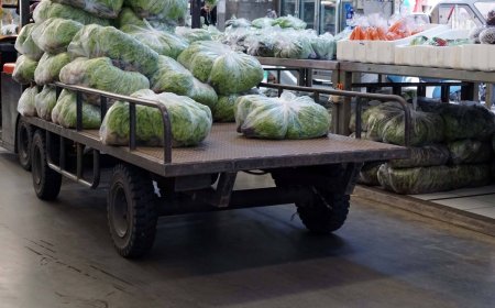 Japan's farm, food and fishery exports in 2025 set record for 13th year