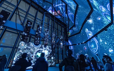 'Ghost and the Shell' exhibition aims for maximum visual impact