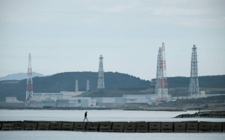 Tepco to restart Kashiwazaki-Kariwa No. 6 reactor on Monday