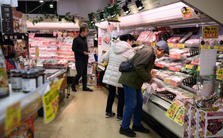 Japan's ratio of household spending on food hits 44-year high