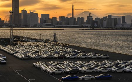 Japan's 2025 current account surplus hits record