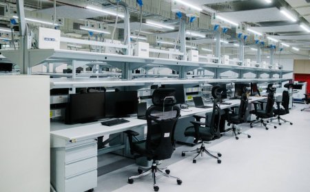 Homegrown startups outperform returnee tech talent, study shows