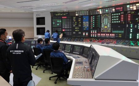 Japan’s biggest nuclear plant restarts second time after hiccup
