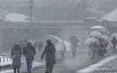 Death toll from heavy snowfall in Japan rises to 46
