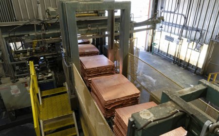 Japan producer prices rose 2.3% in January, BOJ reports