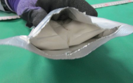 Japan's customs seized second-highest amount of illegal drugs in 2025