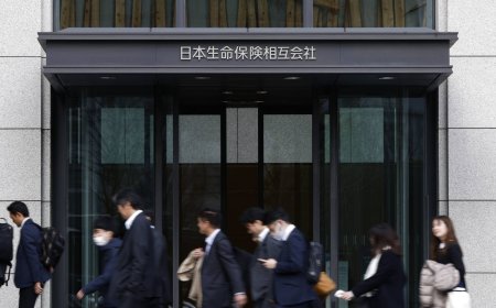 Accounting group seeks to ease rules on Japanese insurers' bond losses
