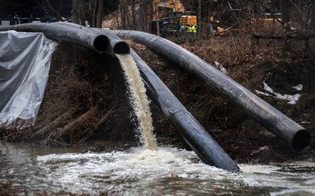 Washington mayor asks Trump for disaster declaration over Potomac spill