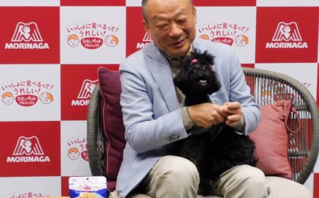 Morinaga launches treats that dogs and people can share