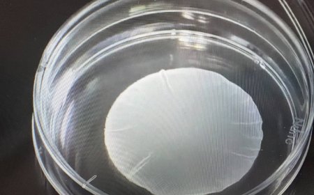 iPS cell-based products win conditional approval from health ministry panel