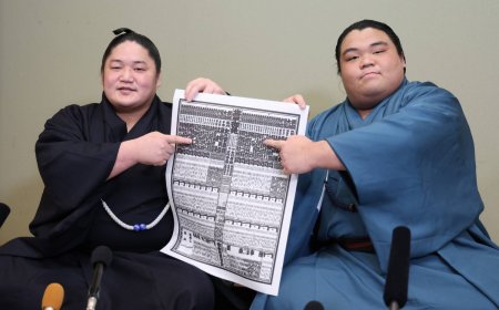 Physical <i>banzuke</i> ranking reveals sumo’s storylines