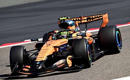 McLaren boss Andrea Stella says defending champion will start season on defense