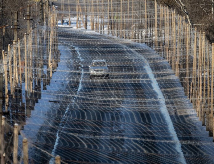 Four years into Putin’s war, the Ukraine peace push is stalling