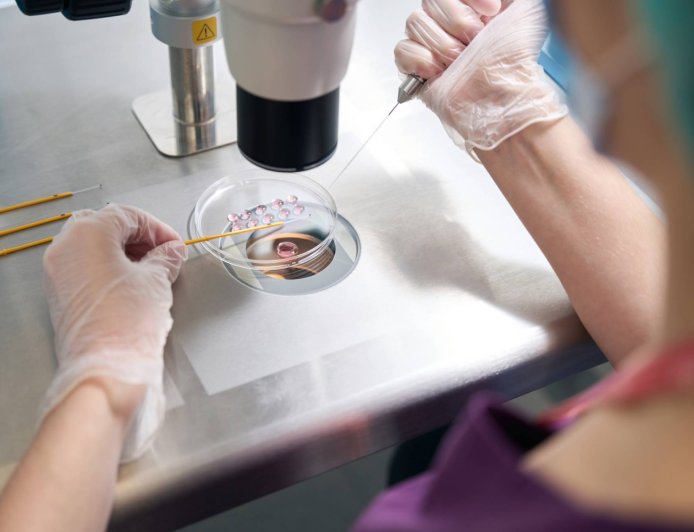 Japanese researchers create mouse testicular organoids in vitro