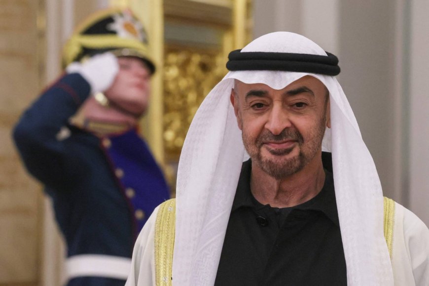 UAE president reportedly cancels Japan visit amid Iran tensions