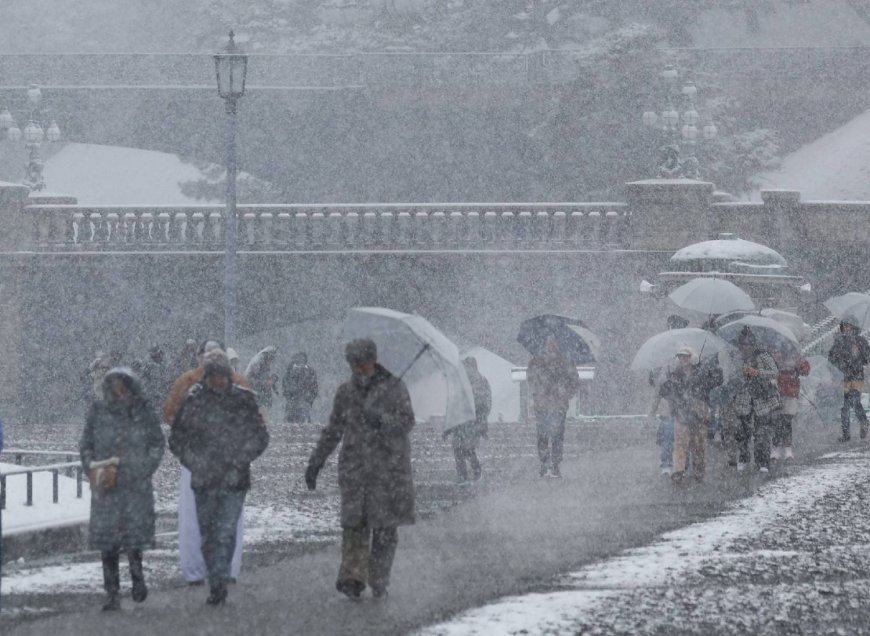 Death toll from heavy snowfall in Japan rises to 46