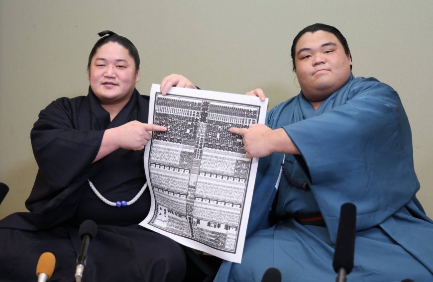 Physical <i>banzuke</i> ranking reveals sumo’s storylines