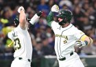 Australia shakes up World Baseball Classic again with Taiwan triumph