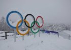 IOC urged to drop reported gender test plans for female athletes