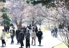 Imperial Palace street opened to public for spring season