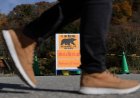 Spring reawakens concerns over bear encounters in Japan