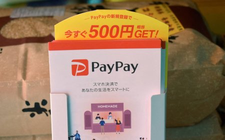 PayPay and SoftBank seek $1.1 billion in payments firm’s U.S. IPO