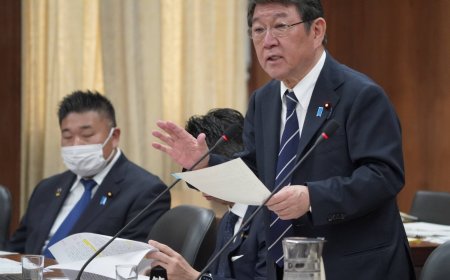 Another Japanese national detained in Iran after NHK staffer’s arrest