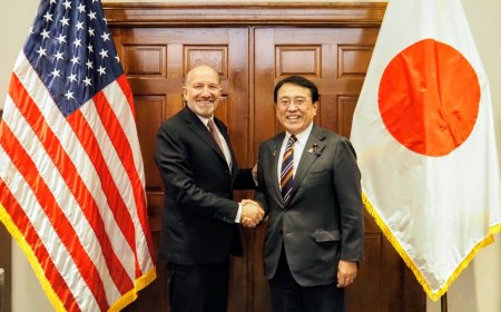 Japan asks U.S. not to treat it unfavorably under new tariffs