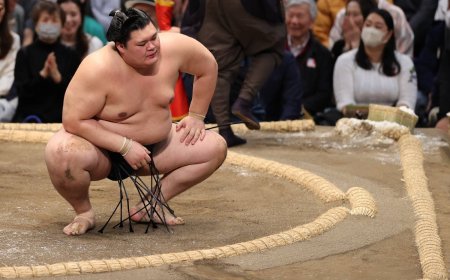 Onosato’s withdrawal evokes painful reminder of stablemaster’s fate