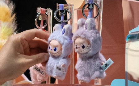 Pop Mart bets on post-Labubu future with new toys