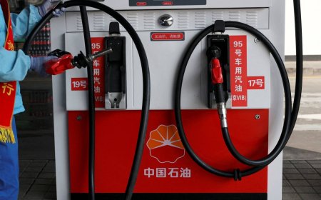 China's fuel export ban to further tighten Asia supply