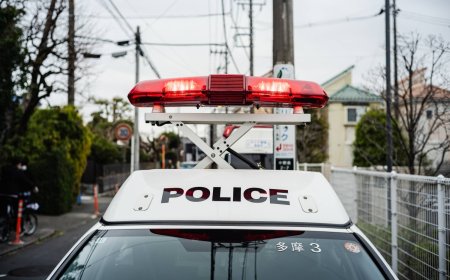 Japan's domestic violence consultations hit record 98,000 in 2025