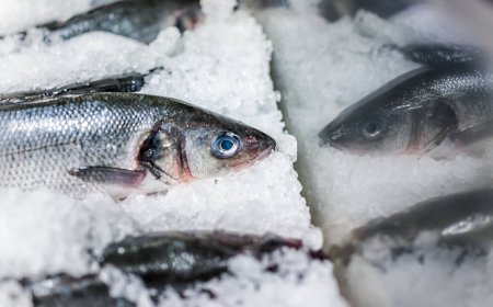 ‘Hooked’ but not reeled in by Asako Yuzuki’s new release