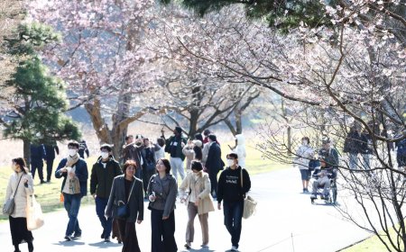 Imperial Palace street opened to public for spring season