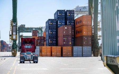 Activists target Japan’s shipping stocks on rising vessel prices