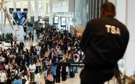 Staff absences soar at some U.S. airports as ICE agents prepare to screen travelers