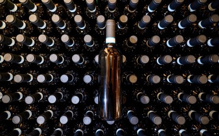 From Indian movies to Italian wine, Trump’s war on Iran to cause pain worldwide