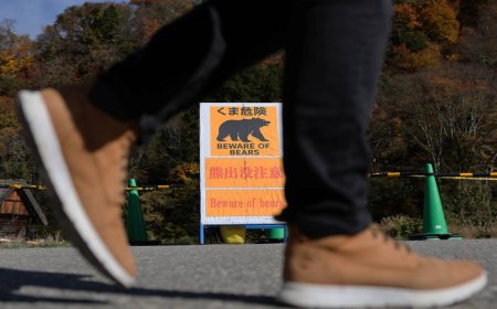 Spring reawakens concerns over bear encounters in Japan