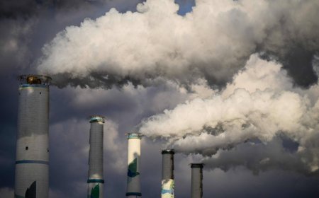 Back to black: facing energy shock, Asia turns to coal