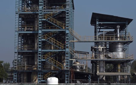 India's ethanol producers feel the pinch of success