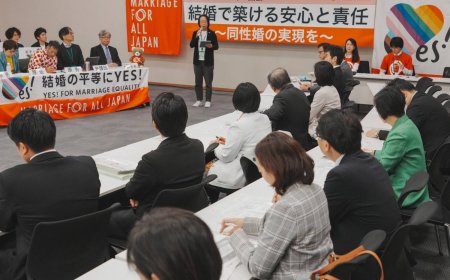 Japan top court to issue unified ruling on same-sex marriage