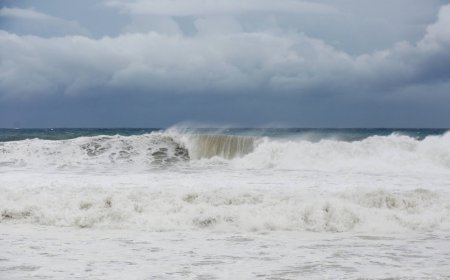 Satellite observations offer insight into a tsunami's early stages