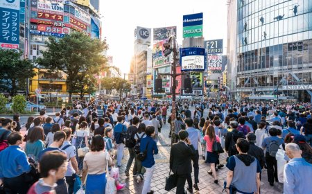 Japan's tally of specified skilled workers hits record 390,296