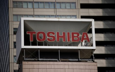 Japan firms weigh merging power chip businesses