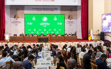 WTO talks end in deadlock after Brazil blocks deal over e-commerce duties